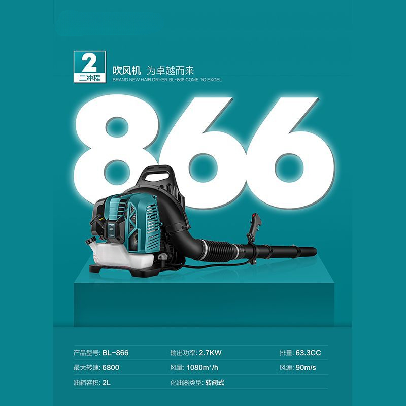 Pengering rambut gendong dua-t - Backpacks ulasan dan harga
